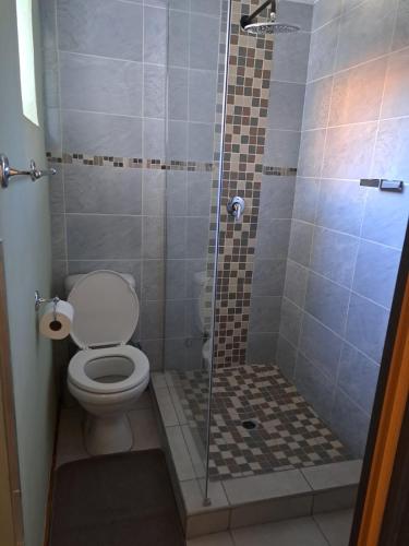 a bathroom with a toilet and a shower at Muhlemoholo Guest House in Maseru