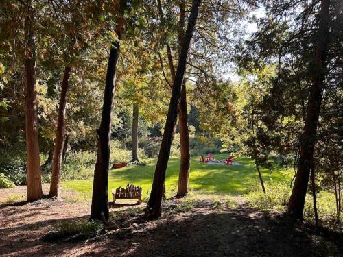 un parque con árboles y un banco en el césped en John Wayne Cedar Oasis, en Cookstown