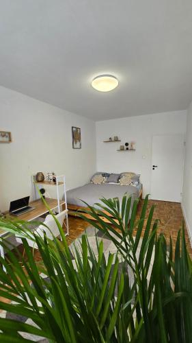 Duże pokoje w nowoczesnym stylu