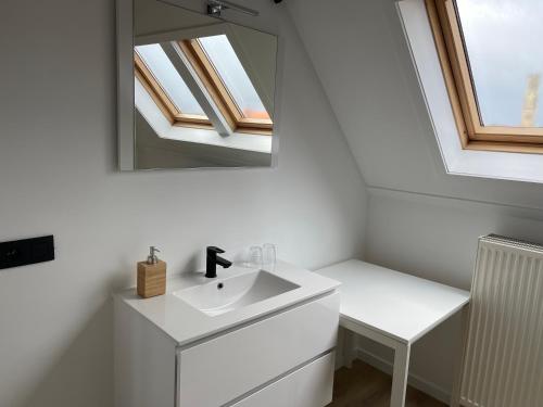uma casa de banho com um lavatório e um espelho em D 28 em Bruges