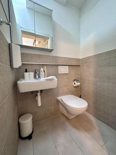 a bathroom with a toilet and a sink and a mirror at WELCOME HOTEL - Hellbühl Self-Check-in in Hellbühl