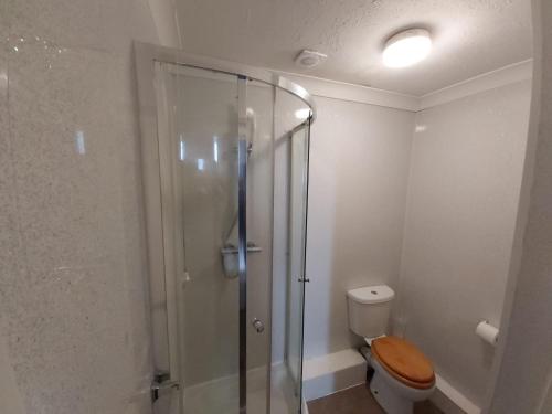 a bathroom with a toilet and a glass shower at Channel View Hotel in Sandown