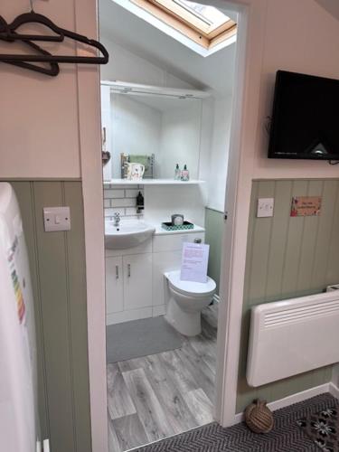 a bathroom with a toilet and a sink and a television at The Little Garden Hideaway with Stunning Sea Views and Garden in Holyhead