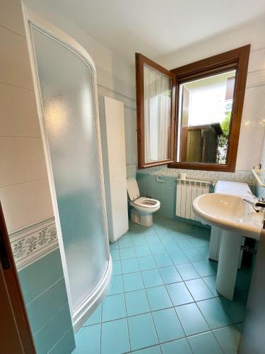 a bathroom with a shower and a toilet and a sink at Fantastic Villa with pool for 7 guests on Albarella in Palazzo Vianello