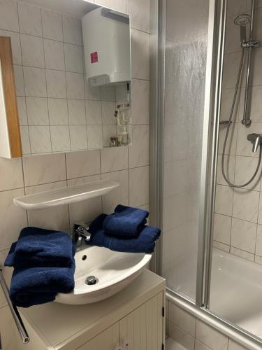 a bathroom with a sink and a shower with blue towels at Strandkojen in Trassenheide