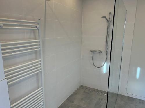 a bathroom with a shower with a glass door at Ferienwohnung im Wesertal in Hameln