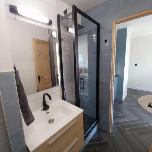 une salle de bain avec un lavabo et une douche dans l'établissement Coquet T2 classé 2**, Narbonne Plage, à Narbonne-Plage