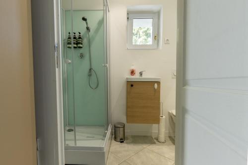 bagno con doccia in vetro e lavandino di La Villa Romaine, Jacuzzi 15 min du Zoo de Beauval a Thésée