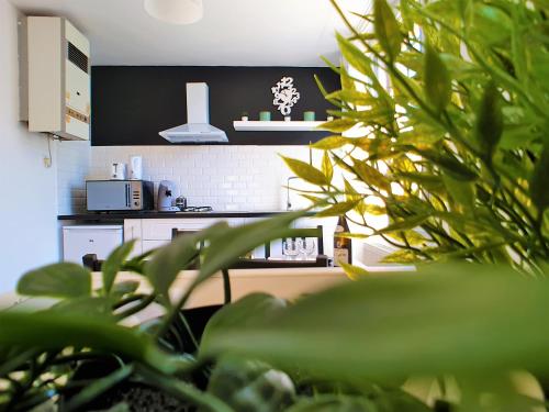 une cuisine avec des plantes vertes au premier plan dans l'établissement hyper centre joigny, très lumineux, à Joigny