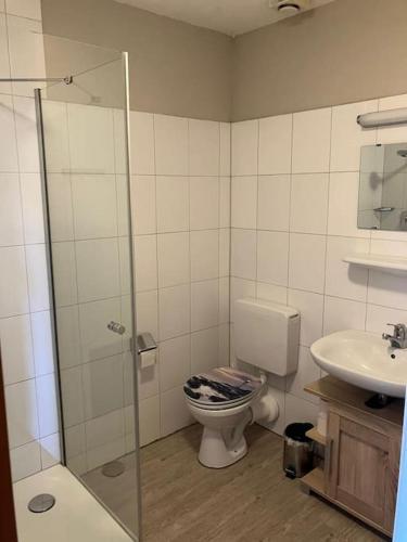 a bathroom with a toilet and a sink at Ferienhaus Lena am Silbersee in Frielendorf