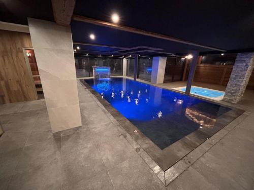 - une grande piscine avec des canards dans l'eau dans l'établissement Gite Le Grand Cerf Piscine et Spa, à Xonrupt-Longemer