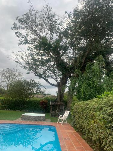 a blue swimming pool with a chair next to a tree at Casa Panaca Portal 12 in Quimbaya