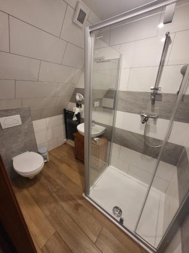 a bathroom with a shower and a toilet and a sink at Magnolia in Zakopane