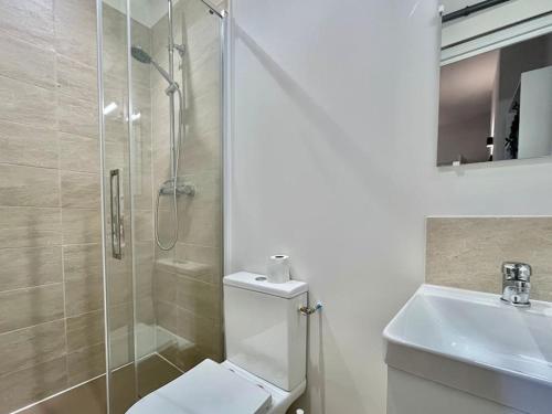 une salle de bain avec une douche, des toilettes et un lavabo dans l'établissement Le Printemps * Bel appartement climatisé * Hypercentre, à Toulouse