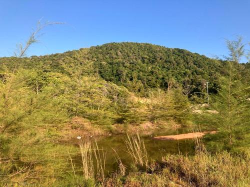 Paisaje cerca de este hostal o pensión