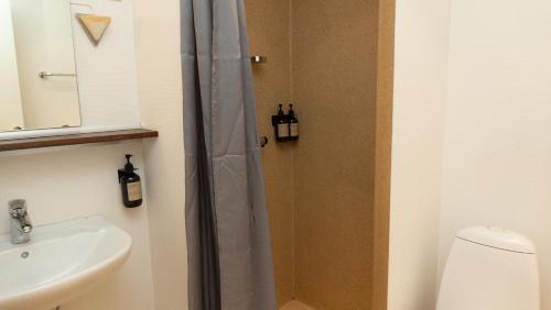 uma casa de banho com um chuveiro e um lavatório. em Hotel Smedegaarden em Lem