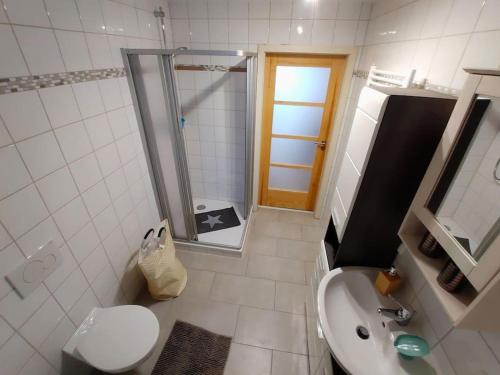 Moderne Wohnung für bis zu 4 Personen في Eschenbach in der Oberpfalz: حمام مع دش ومغسلة ومرحاض