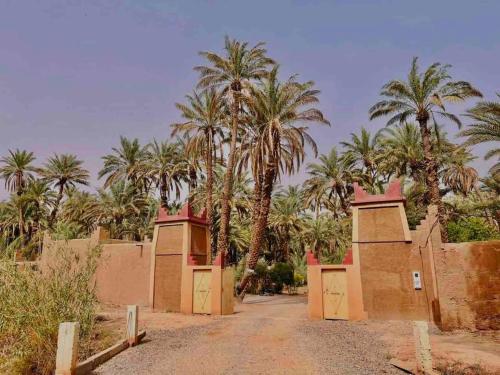 a dirt road with palm trees in the background at Camping auberge palmeraie d'amezrou in Zagora