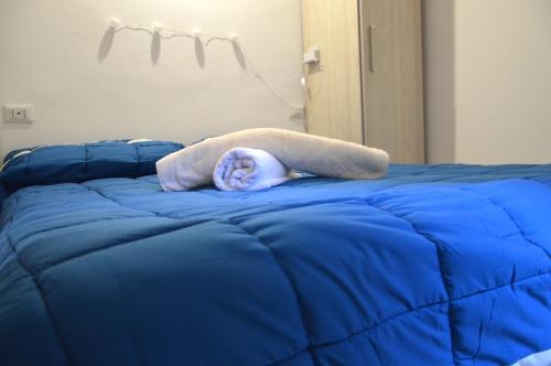 niebieskie łóżko z kocem na górze w obiekcie Casa vacanza Città dei Papi Anagni w mieście Anagni