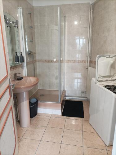 une salle de bain avec douche et lavabo dans l'établissement Joli appartement type 5 en centre ville, à Châteauroux