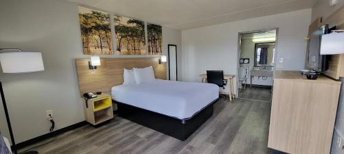 ein Hotelzimmer mit einem Bett und einem TV in der Unterkunft Days Inn by Wyndham Conway in Conway