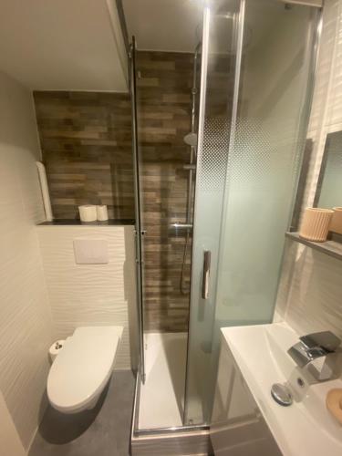 une salle de bain avec une douche, des toilettes et un lavabo dans l'établissement Studio cosy Paris Odéon, à Paris