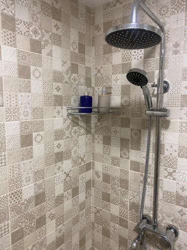 a shower in a bathroom with a tiled wall at Bakuriani inn Apartment in Bakuriani
