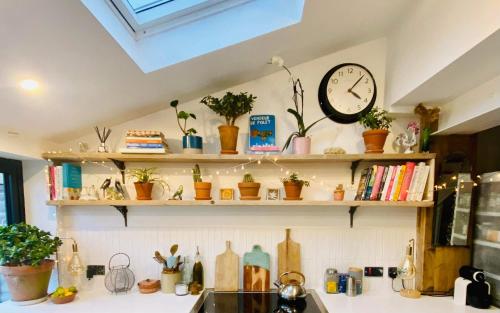 a kitchen with shelves with potted plants and a clock at Boutique Townhouse in Christchurch