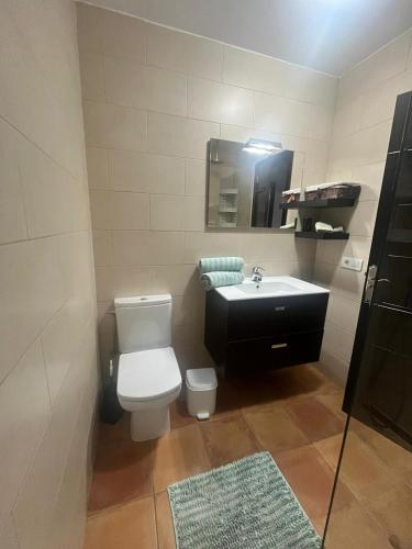 La salle de bains est pourvue de toilettes, d'un lavabo et d'un miroir. dans l'établissement CASA SIBILA, à Playa Honda