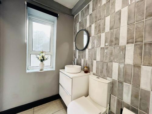 un baño con inodoro y espejo en Mountain View Home - Dolgellau, en Dolgellau