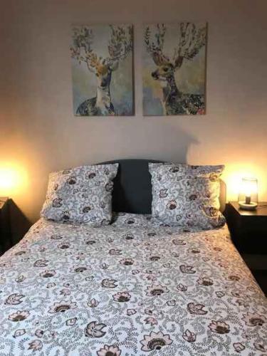 un lit dans une chambre avec deux tableaux au mur dans l'établissement BEL APPARTEMENT HYPERCENTRE T3/70 M2, à Clermont-Ferrand