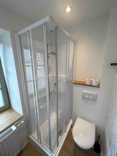 une salle de bain avec une douche en verre et des toilettes dans l'établissement Maison typique au sein d’un village remarquable, à Moncontour