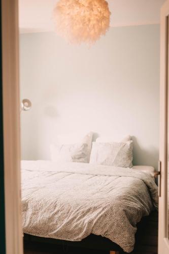 - une chambre avec un lit et une lampe pendant dans l'établissement Charmant 2 pièces avec terrasse - Proche Gare et Centre Ville, à Besançon