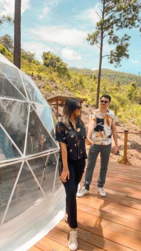 Hosté ubytování Tiny Pines A-Frame Cabin, Domes and Luxury Glamping Site