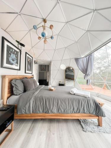 Tiny Pines A-Frame Cabin, Domes and Luxury Glamping Site