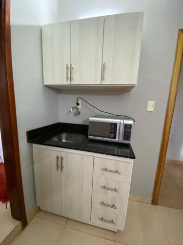 a kitchen with a sink and a microwave on a counter at Lujoso ,cómodo MONOAMBIENTE in San Lorenzo