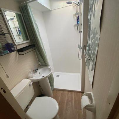 een kleine badkamer met een toilet en een wastafel bij Het Bruggetje Leekstermeer in Matsloot