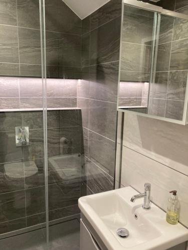 een badkamer met een wastafel en een douche bij Downs Cottage in Bristol