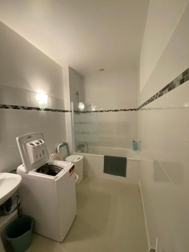 a white bathroom with a toilet and a sink at Appartement Cosy avec vue sur le château in Chinon