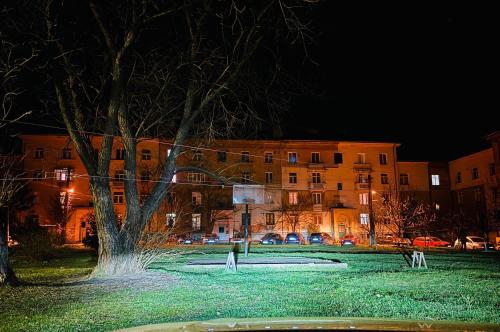 Κήπος έξω από το Noua Apart