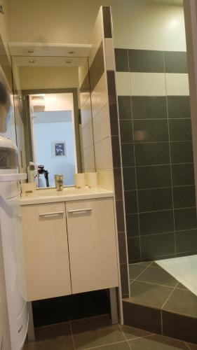 une salle de bain avec un lavabo et une douche avec un miroir dans l'établissement Gîtes de Neyrac, appartement Rose - piscine, rivière à 100 m, vue sur les collines, à Meyras