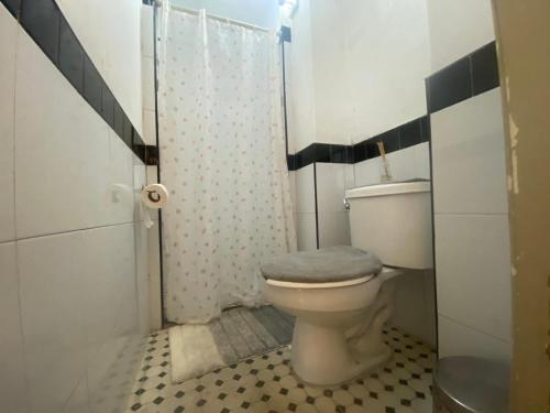 a bathroom with a toilet and a shower at Habitación doble Hotel Chapultepec-Americana in Guadalajara