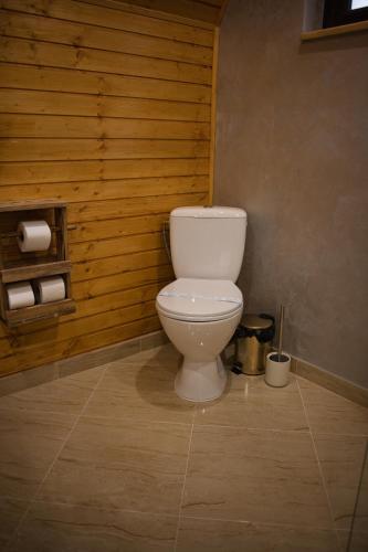 a white toilet in a bathroom with wooden walls at Cabana AFrame Olanesti in Băile Olăneşti