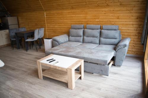 a living room with a couch and a table at Cabana AFrame Olanesti in Băile Olăneşti