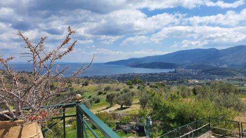 Billede fra billedgalleriet på Villa Theonymfi i Galatákion