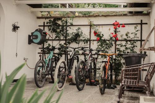 a group of bikes parked next to a wall at Ferienhaus im Weingarten in Lang