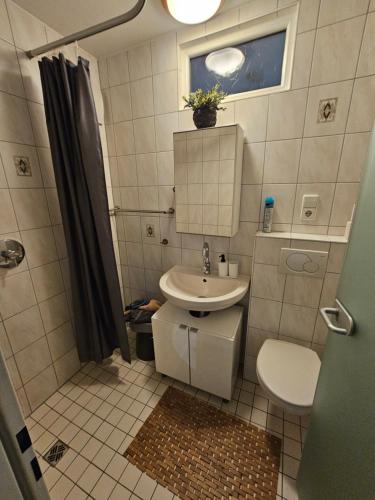 烏爾姆的住宿－Ulmer Nestchen，一间带水槽和卫生间的小浴室