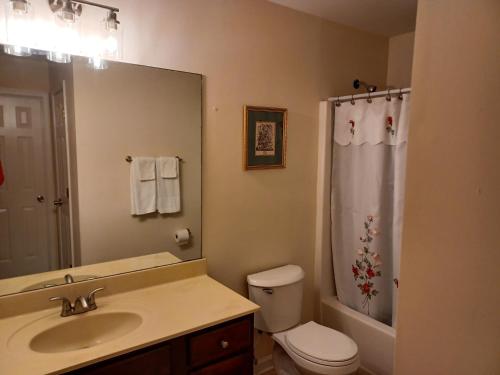 a bathroom with a sink and a toilet and a mirror at Luxury Suite in Austell