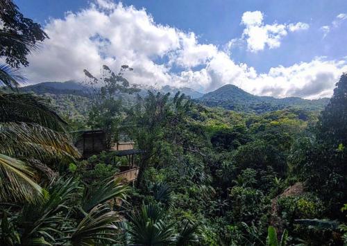 a view of a jungle with mountains in the background at Sierra Normandia in Cañaveral