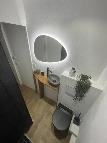 ein Badezimmer mit einem WC, einem Waschbecken und einem Spiegel in der Unterkunft Location appartement La Ciotat in La Ciotat
